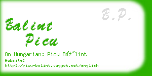 balint picu business card